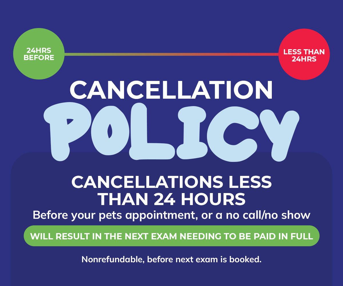 Cancellations less than 24 hours before your pets appointment, or a no call/no show, will result in the next exam needing to be paid in full, nonrefundable, before next exam is booked.